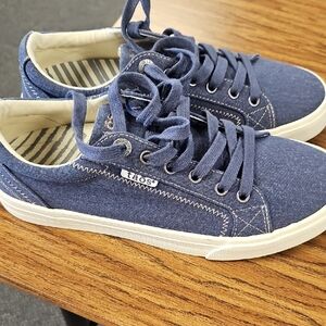 Women's Taos Plim Soul Canvas Sneakers